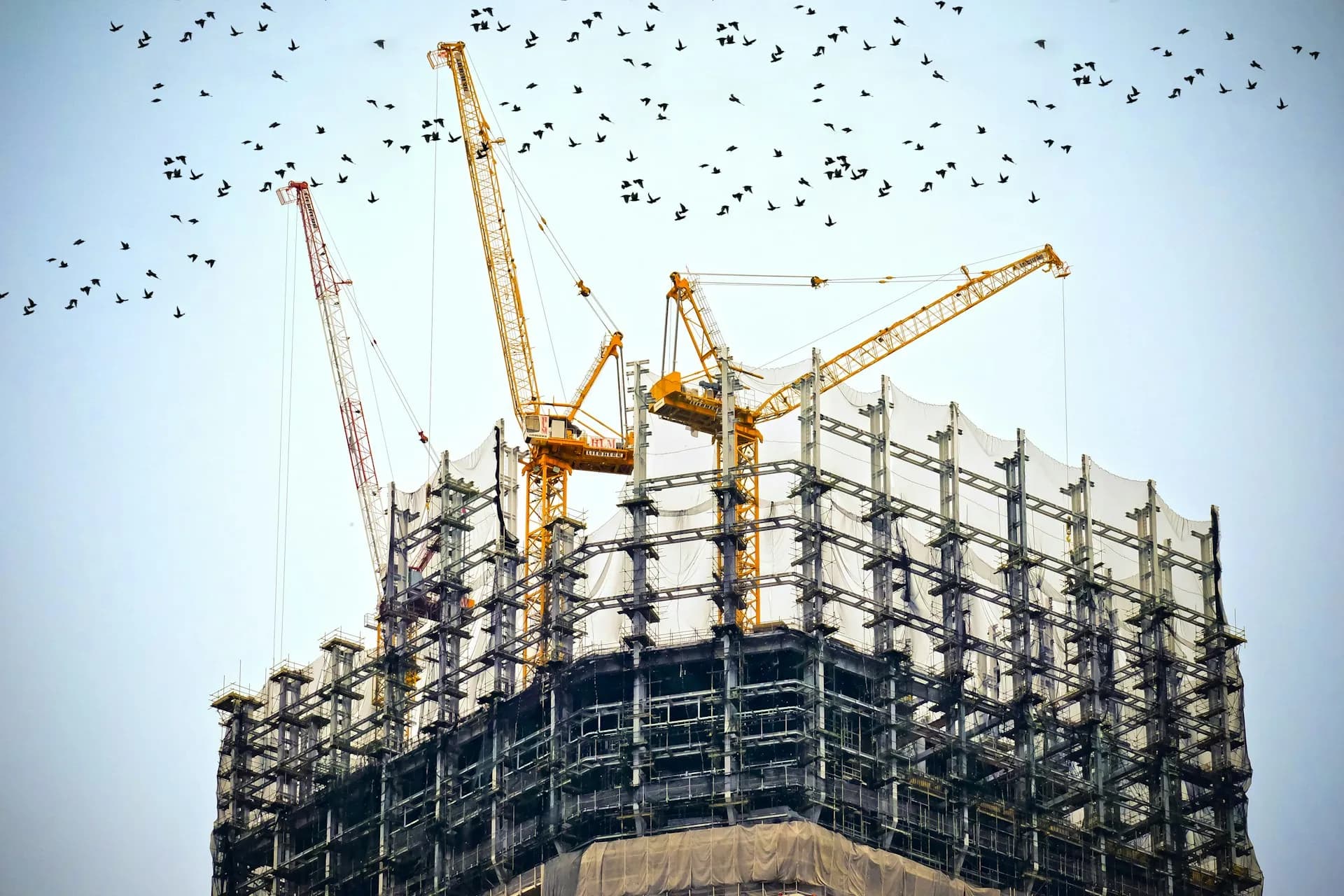 New Construction, Gut Rehab & Redevelopment